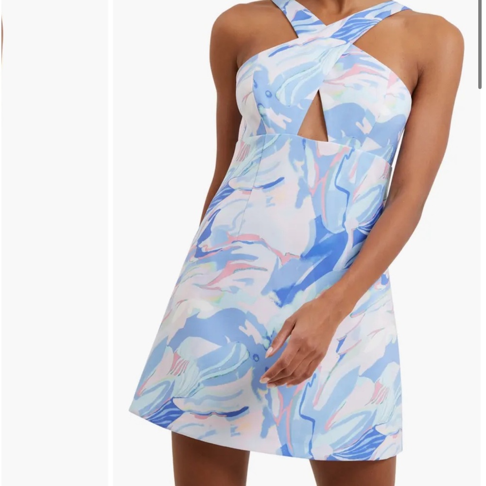 French Connection Dress